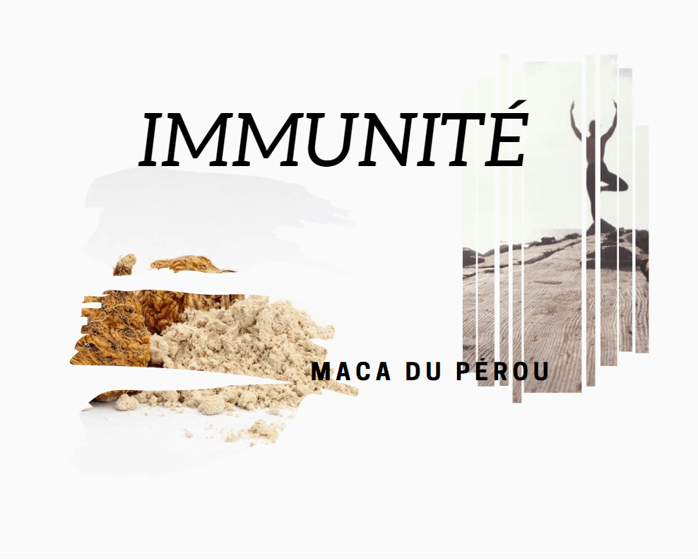 système immunitaire maca bio du pérou